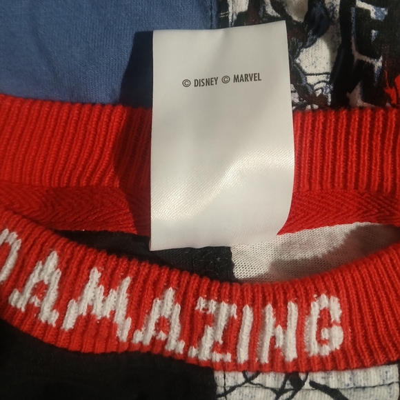 Spider-Man 60th Anniversary Long Sleeve T-Shirt Size: XL by Ashley Eckstein - Picture 9 of 9